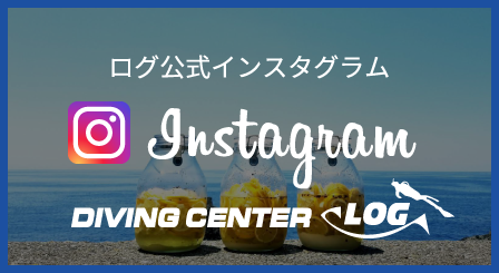 ログ公式インスタグラム Instagram