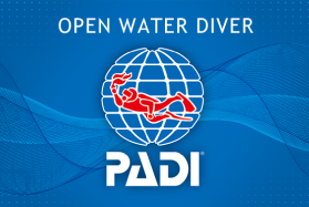 PADI