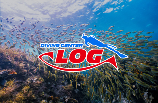 DIVING CENTER LOG