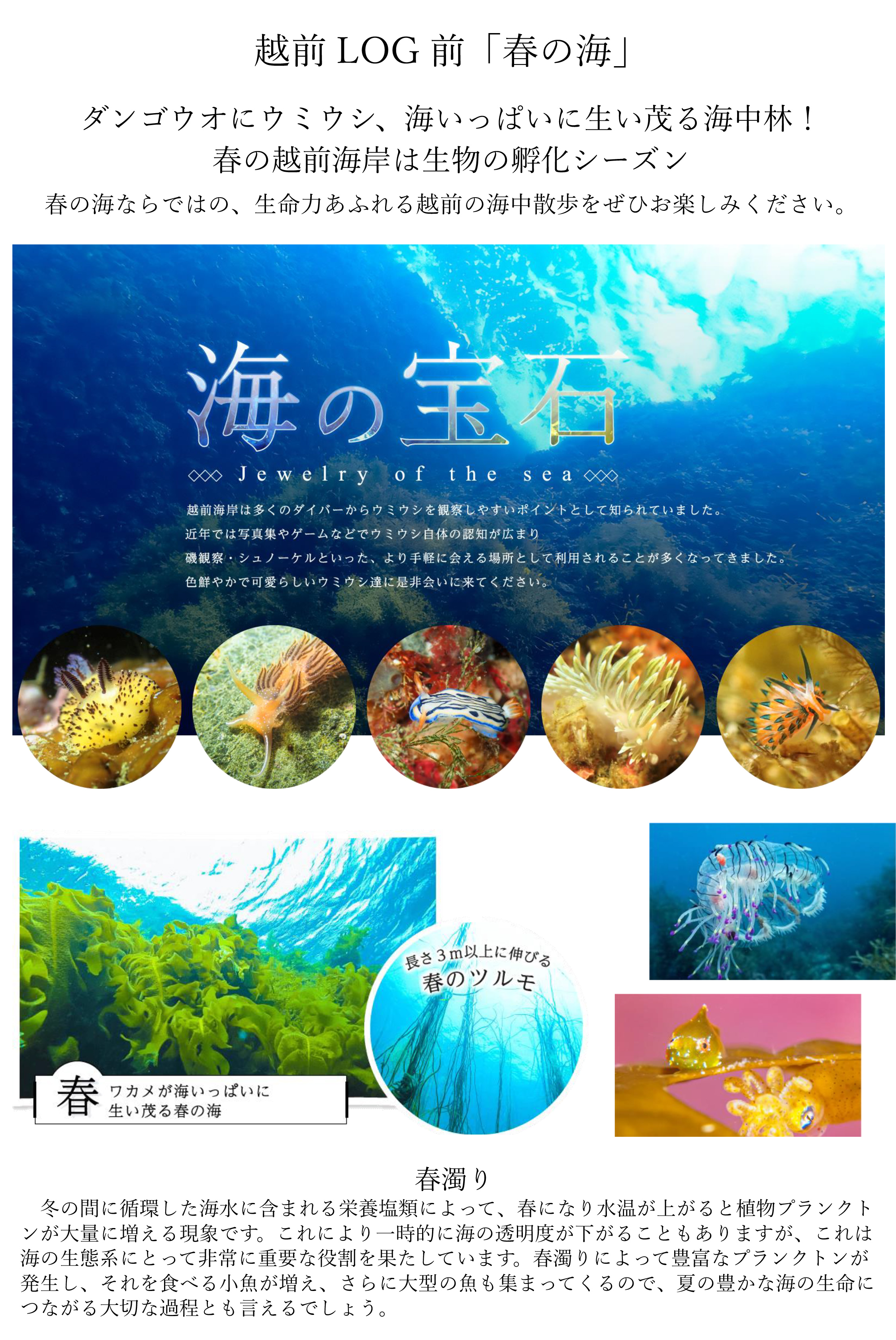 福井県越前町の小さな手作りリゾートECHIZEN LOG